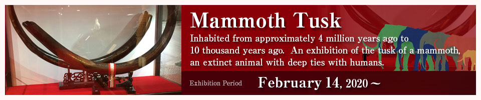 Mammoth Tusk